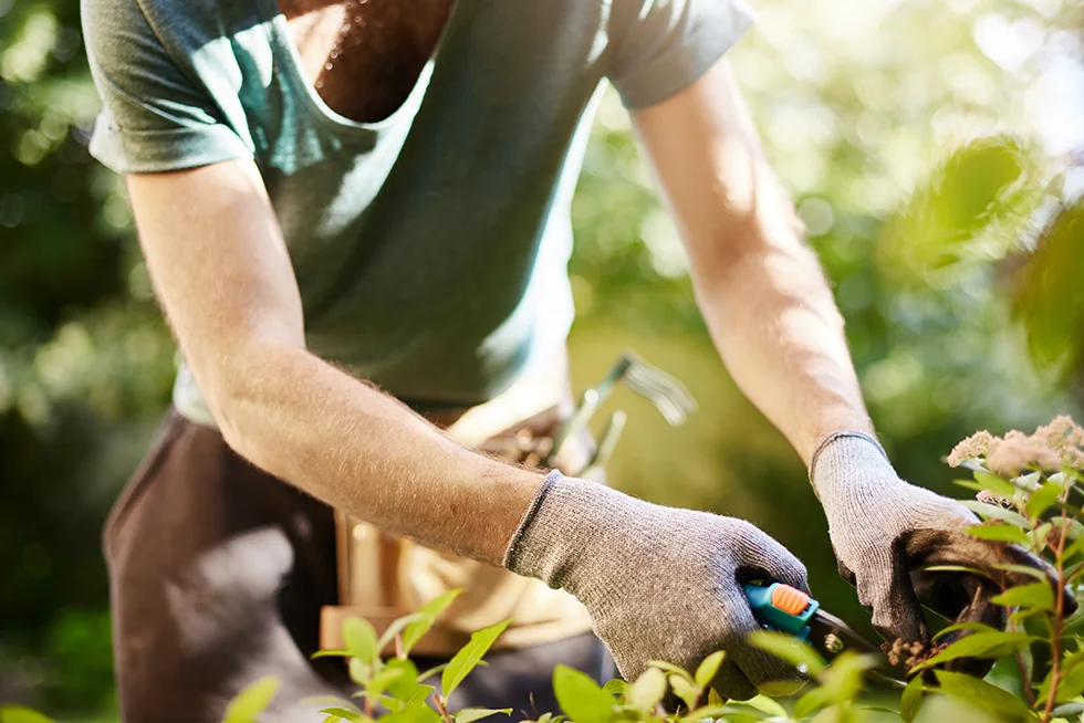 jardinage-services
